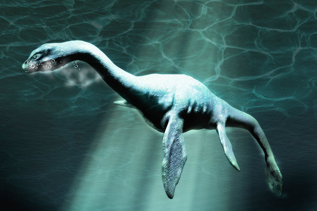 Mô phỏng quái vật biển Plesiosaur.