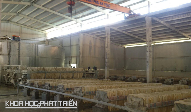 Nhà máy chế biến cao lanh hiện hữu tại Công ty Trung Thành