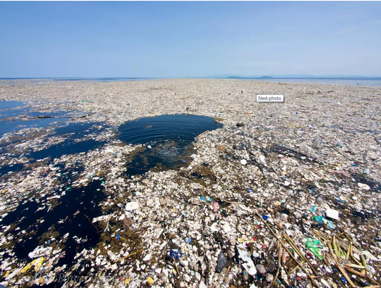 Ô nhiễm là một trong các nguyên nhân khiến vùng chết lan rộng. Trong ảnh: biển Caribean ngập chìm trong rác thải - ảnh: INDEPENDENT