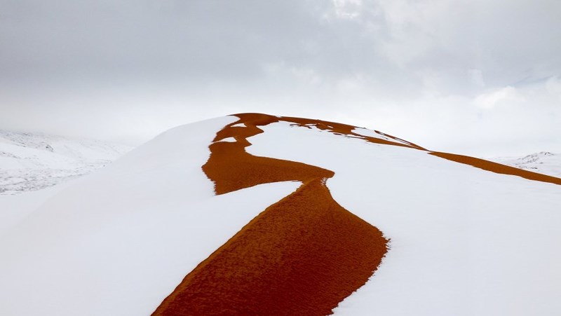 Ở sa mạc Sahara, nơi được biết đến với sức nóng khủng khiếp, tuyết bất ngờ phủ kín thị trấn Ain Sefra, Algeria. 