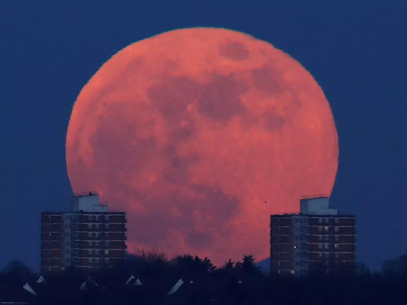 Siêu trăng đang mọc phía sau các khu căn hộ ở phía bắc London (Anh). Ảnh: Reuters.