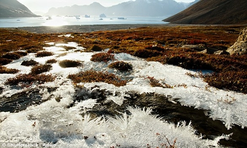 Tầng đất bị đóng băng vĩnh cửu ở Bắc Cực là nơi tích trữ thủy ngân lớn nhất thế giới. Ảnh: Shutterstock.