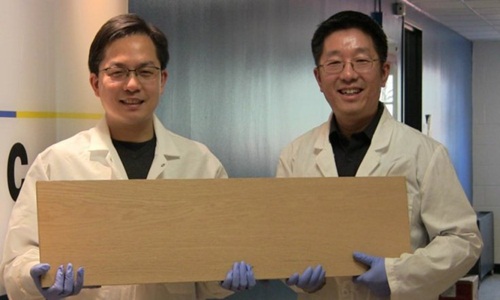 Liangbing Hu và Teng Li tìm ra cách để làm gỗ cứng gấp 10 lần so với trước đây. Ảnh: Đại học Maryland.