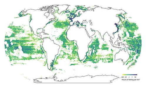 Dữ liệu vệ tinh cho thấy những khu vực trên đại dương chứa hầu hết các tàu đánh cá (màu xanh). Ảnh: Science.