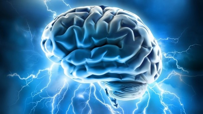 Bộ não tiêu thụ điện năng tương đương với một bóng đèn 10 W. Khoảng 80% bộ não là nước. Xung thần kinh trong não di chuyển với vận tốc 274 km/h. Ảnh: Nocamels.