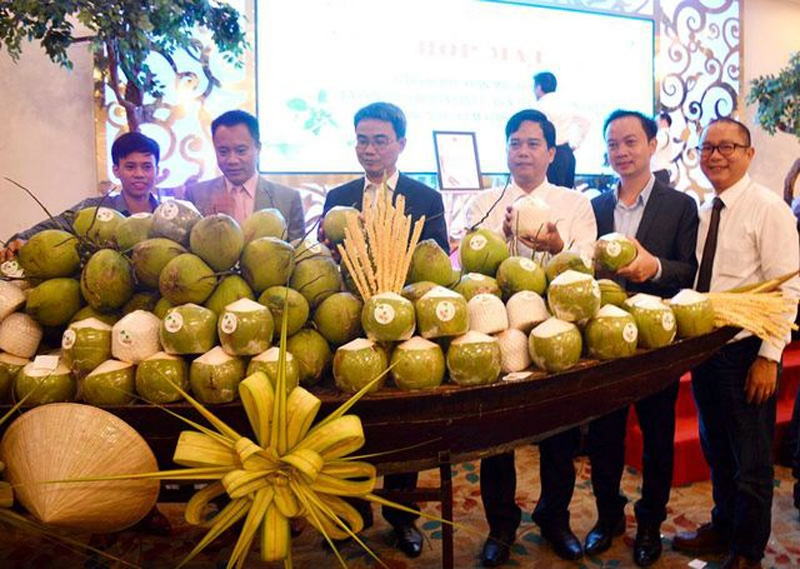 Sản phẩm dừa uống nước xiêm xanh Bến Tre đã được cấp chứng nhận chỉ dẫn địa lý “Bến Tre”. Ảnh : Cẩm Trúc