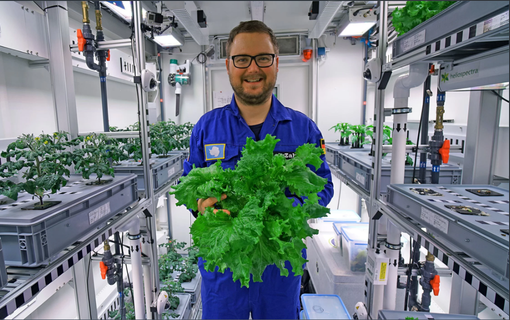 Paul Zabel và rau tươi trồng trong nhà kính EDEN ISS tại Nam Cực. Ảnh: DLR