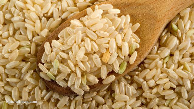 Gạo hữu cơ đang làm một cuộc cách mạng trong nông nghiệp tại Ấn Độ. Ảnh: Naturalnews.com