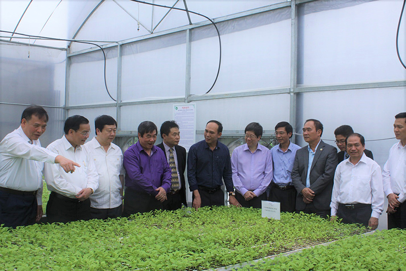 Bộ trưởng KH&CN Chu Ngọc Anh và đoàn công tác đã đến thăm nhà ươm cây giống số 1 c;ủa Công ty TNHH một thành viên Hưng Việt (Gia Lộc). Ảnh: Đăng Minh.