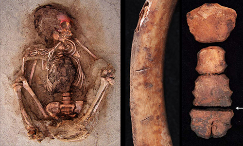 Các vết dao cắt và chất nhuộm màu đỏ được phát hiện trên xương ức, xương sườn và hộp sọ của trẻ em. Ảnh: National Geographic.