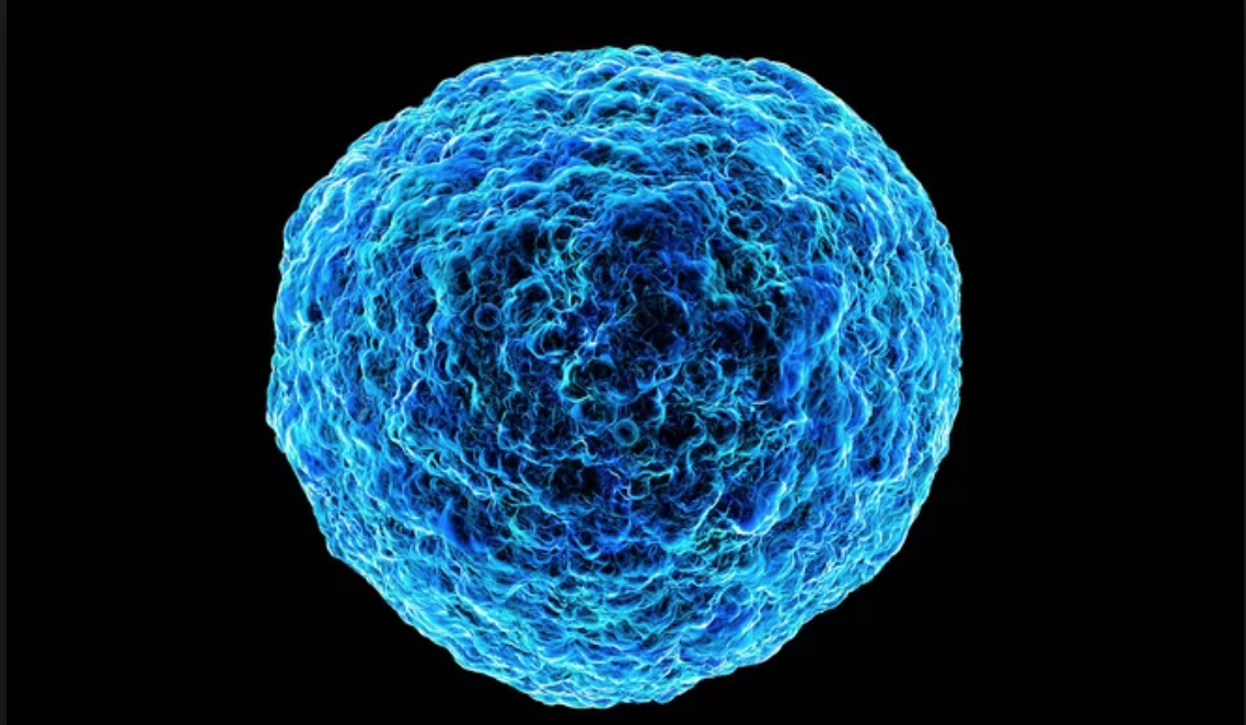 Ảnh minh họa virus bạch cầu tế bào T (HTLV-1). Nguồn: Science Photo Library/Alamy Ảnh minh họa virus bạch cầu tế bào T (HTLV-1). Nguồn: Science Photo Library/Alamy