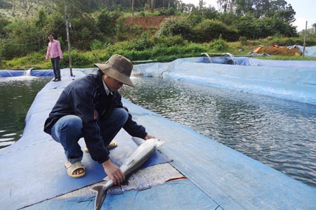  Một cơ sở nuôi cá tầm tại huyện Kon Plông. Ảnh:VGP/Bạch Dương