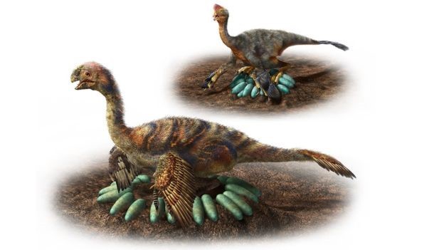Ảnh minh họa: hành vi ấp trứng của oviraptorosaur lớn và nhỏ - Ảnh từ Masato Hattori.