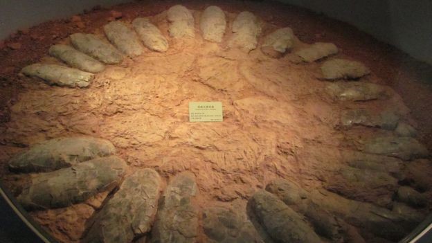 Tổ của một con oviraptorosaur lớn – có một khoảng trống lớn ở trung tâm để khủng long bố mẹ ngồi lên - Ảnh từ Kohei Tanaka