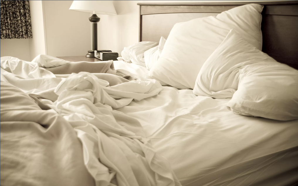 Bạn có nghĩ gường ngủ của mình sạch hơn tổ tinh tinh? Ảnh: Live Science