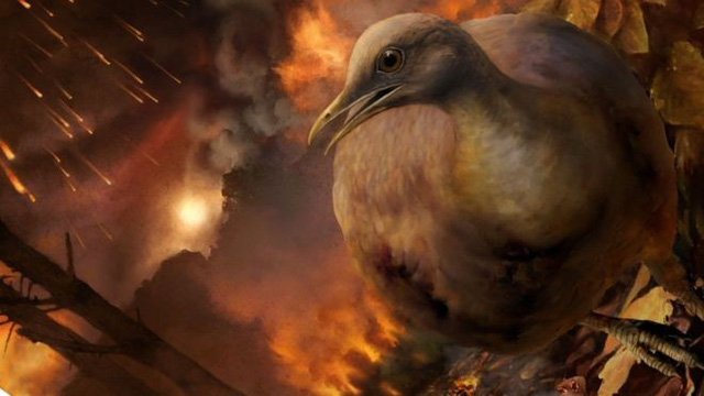 Tổ tiên của loài chim đã sống sót sau vụ thiên thạch rơi như thế nào. Ảnh: BBC News