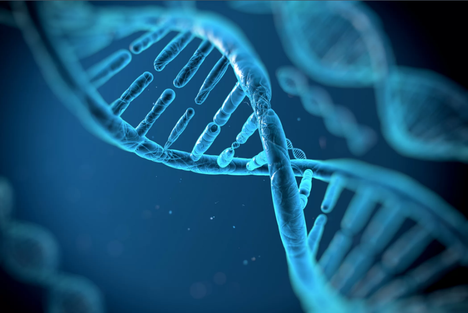 DNA có khả năng lưu trữ và phục hồi thông tin máy tính. Ảnh: vitstudio/Shutterstock