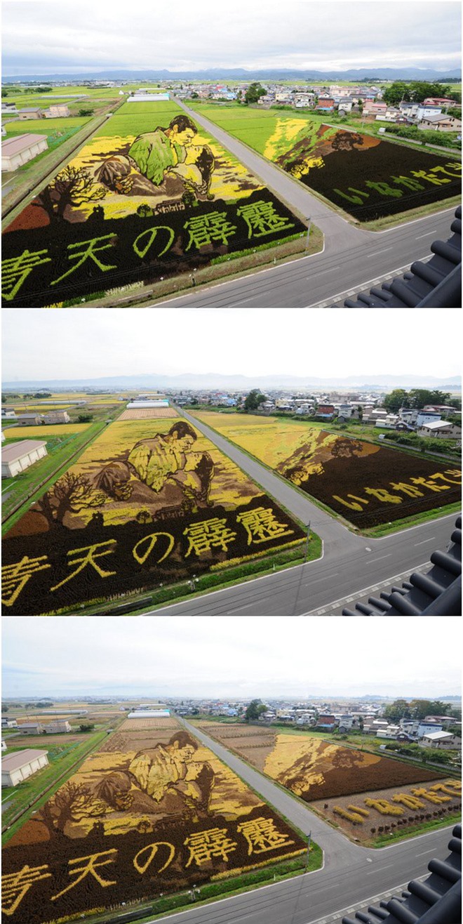 Có một cánh đồng lúa đặc biệt chuyên tạo ra các nhân vật hoạt hình nổi tiếng ở Nhật Bản - Ảnh 6.