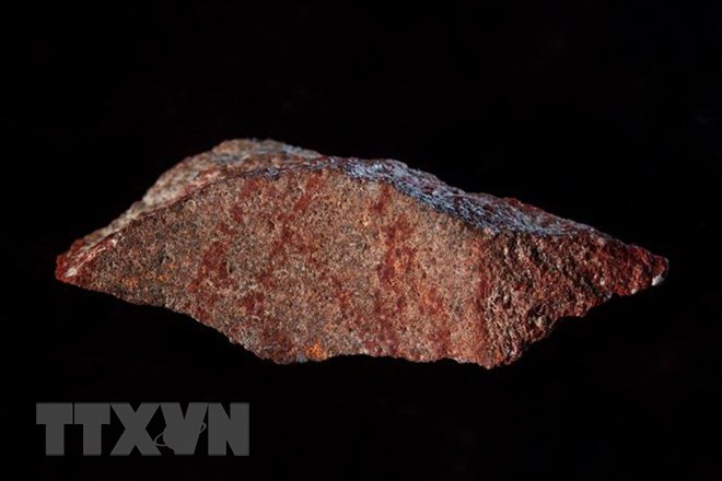 Bản vẽ trên phiến đá nhỏ có niên đại vào khoảng 73.000 năm tuổi được phát hiện tại Hang Blombos ở tỉnh Western Cape , Nam Phi ngày 12/9. (Nguồn: AFP/TTXVN)