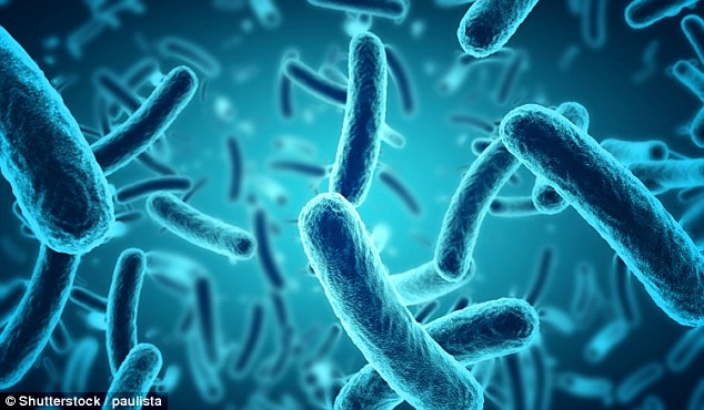Vi khuẩn Listeria monocytogenes, sống trong đường tiêu hóa, tạo ra dòng điện trong quá trình loại bỏ các chất thải ra khỏi tế bào của chúng - Ảnh: Shutterstock