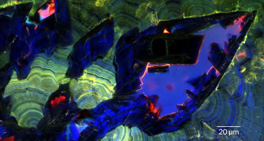Ảnh: chiếu đèn tia cực tím lên các phiến sỏi thận mỏng cho thấy các lớp tinh thể phát triển (màu xanh lam và xanh lục) xen giữa các cấu trúc giống đá quý (màu xanh đậm) kích thước lớn, cho thấy  nơi sỏi phân hủy và tái tạo.