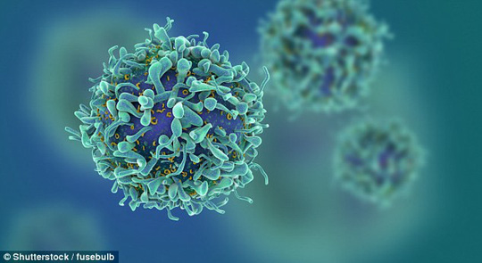 Thuốc chữa HIV mới có thể đánh thức các tế bào HIV "ngủ đông", dẫn dụ chúng ra khỏi nơi ẩn nấp để rồi bị tiêu diệt hoàn toàn - ảnh: SHUTTERSTOCK