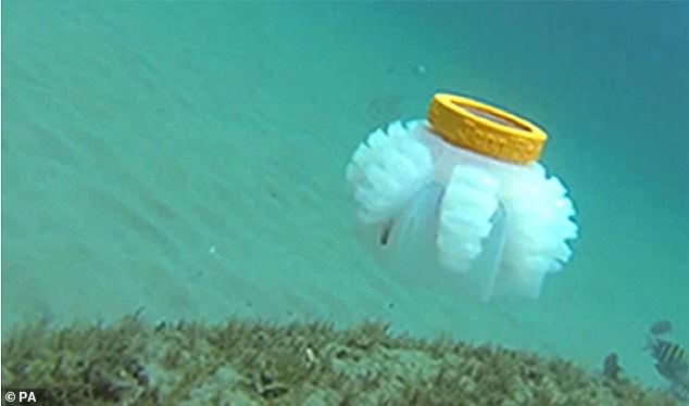 Robot sứa do các nhà khoa học Mỹ phát triển rất hữu ích trong nghiên cứu môi trường biển - Ảnh: PA