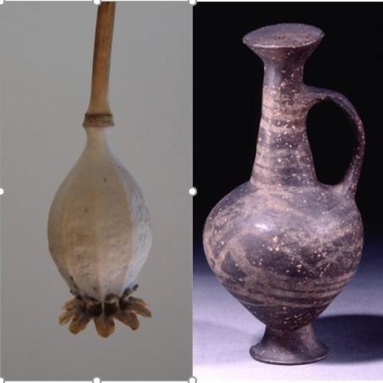 Hình dạng giống hạt cây thuốc phiện của chiếc bình base-ring juglet. Nguồn: British Museum