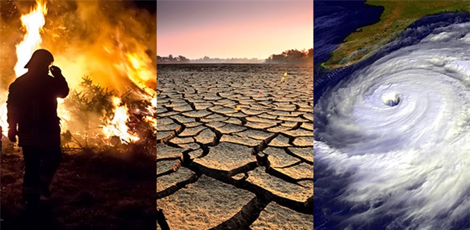 Hậu quả của biến đổi khí hậu