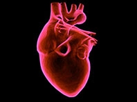 Thuốc OMX-CV cho phép phân phối oxy trực tiếp đến thẳng các mô của tim mà không gây ra tác dụng phụ - Ảnh: Pixabay