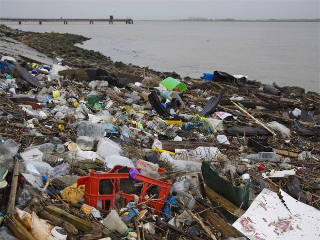 Nghị viện Châu Âu đề xuất cấm hoàn toàn đồ nhựa dùng một lần vào năm 2021 - Ảnh 2.