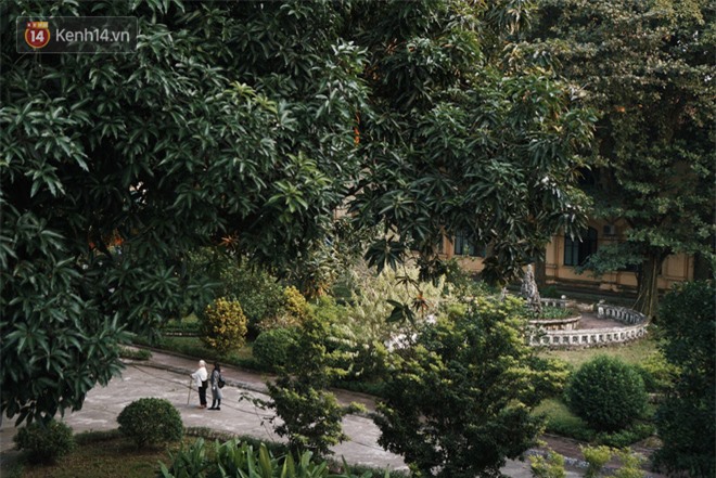 Ngôi trường lâu đời nhất Hà Nội - 110 năm qua vẫn vẹn nguyên vẻ đẹp yên bình, rêu phong và thách thức thời gian - Ảnh 18.