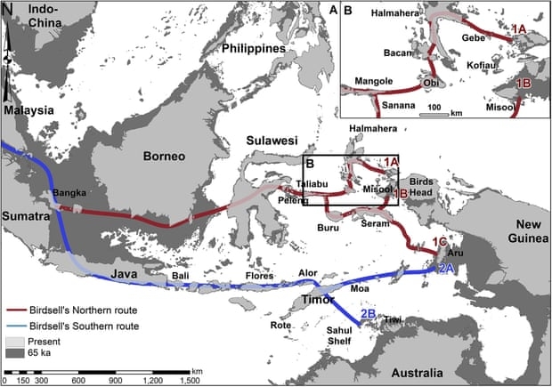 Năm 1977,Joseph Birdsell xác định 2 tuyến đường có thể được những người đầu tiên di cư sử dụng. Nghiên cứu của Đại học quốc gia Úc cho thấy tuyến đường phương Bắc ( màu đỏ) có nhiều khả năng hơn - Ảnh: Shimona Kealy / ANU