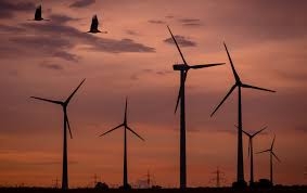 Nhà máy điện gió làm giảm số lượng các loài động vật sống xung quanh nơi nó được xây dựng và vận hành - Ảnh : PxHere