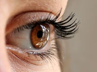 Kích thước con ngươi của mắt là một chỉ số đáng tin cậy phản ánh tâm trạng căng thẳng - Ảnh : Pixabay