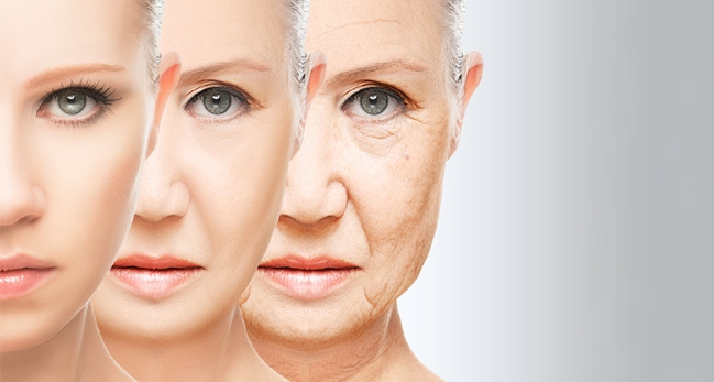Các nhà nghiên cứu chưa hiểu chính xác nhiễm sắc thể X ảnh hưởng đến tuổi thọ theo cách nào - Ảnh : Shutterstock