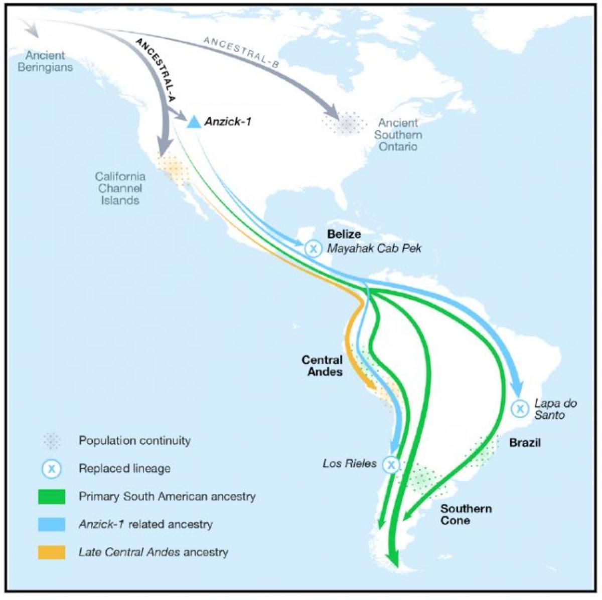Bản đồ các tuyến di cư của con người vào châu Mỹ do nhóm Posth và Reich đăng trên tạp chí Cell. Nguồn: Cell