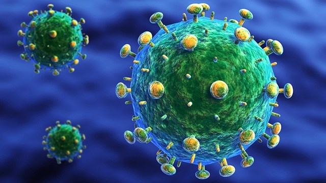 Virus HIV. Ảnh: Flickr