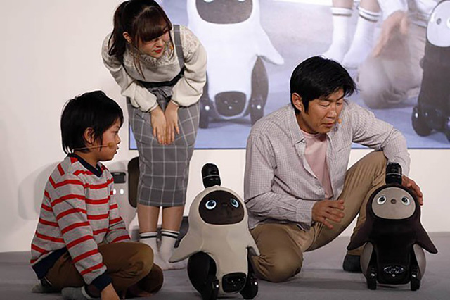 Robot Lovot mới được giới thiệu tại Nhật Bản.