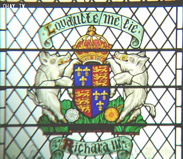 Huy hiệu của vua Anh Richard III (1452 – 1485). Ảnh: Wikimedia. 