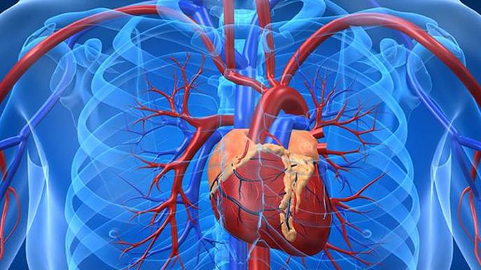 Các nghiên cứu và dữ liệu về tế bào gốc tim có thể không đáng tin cậy
