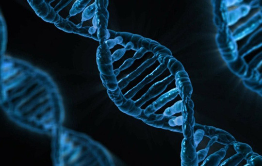 Các nghề nghiệm đòi hỏi thức khuya, trực đêm có thể làm hỏng DNA của bạn - ảnh: SPUTNIK