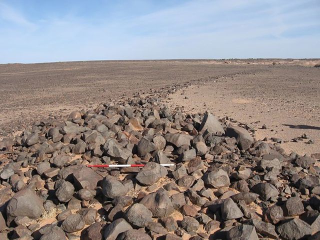 Khu vực bãi đá cổ ở Tây Sahara.