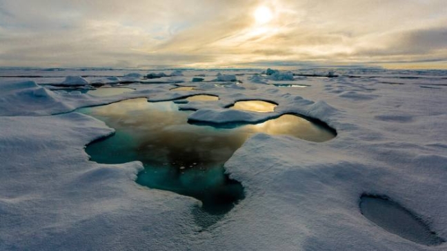 Bắc Cực là nơi có nhiệt độ tăng mạnh nhất trong năm 2018 - Ảnh: Financial Times