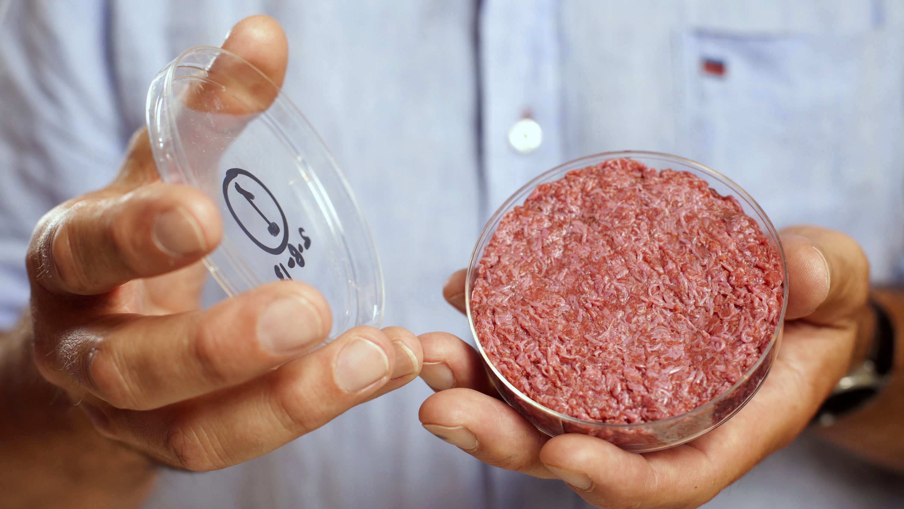 Tháng 3/2016, công ty Mỹ Memphis Meats cũng cho biết họ đã tạo ra viên thịt đầu tiên trong phòng thí nghiệm - Nguồn: Quartz
