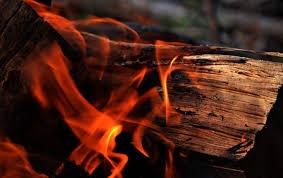 Vật liệu gỗ vừa chịu lực vừa chịu lửa sẽ bền hơn, cung cấp đủ thời gian quý giá để cứu người và tài sản - Ảnh : Pixels