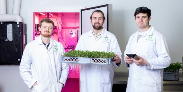 Công nghệ khí canh (aeroponics) sẽ mang đến cho nông dân cơ hội trồng rau xanh ở bất kỳ khu vực nào với bất kỳ điều kiện khí hậu nào - Ảnh: Guardian
