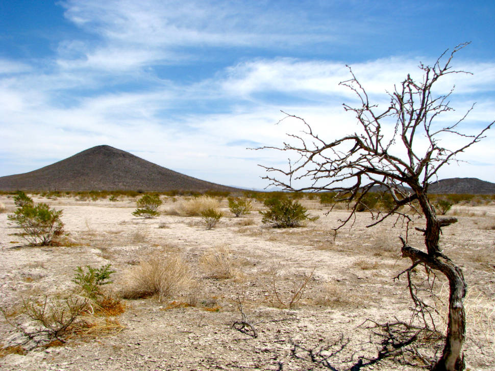 Vùng im lặng nằm trên sa mạc Chihuahuan ở Mexico. Ảnh: AP