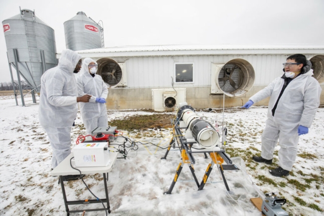 Thử nghiệm công nghệ khử trùng tại một trang trại nuôi lợn - Ảnh : Michigan Engineering