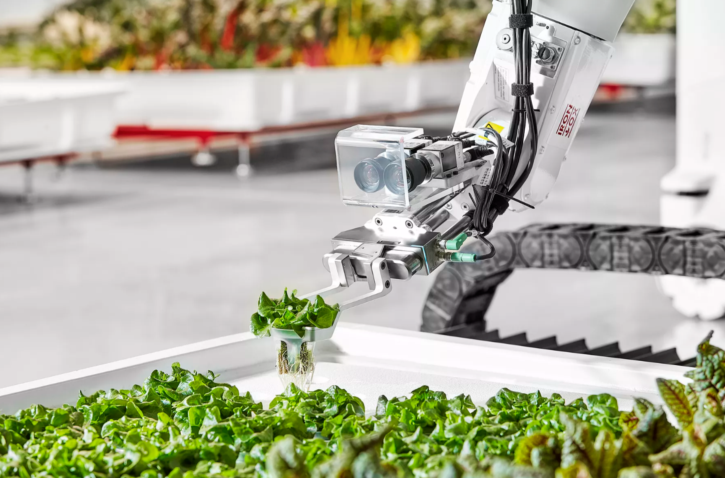 Robot gieo trồng trong trang trại. Nguồn: Iron Ox